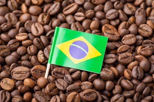 Caféé en Grano Brasil (Kg)